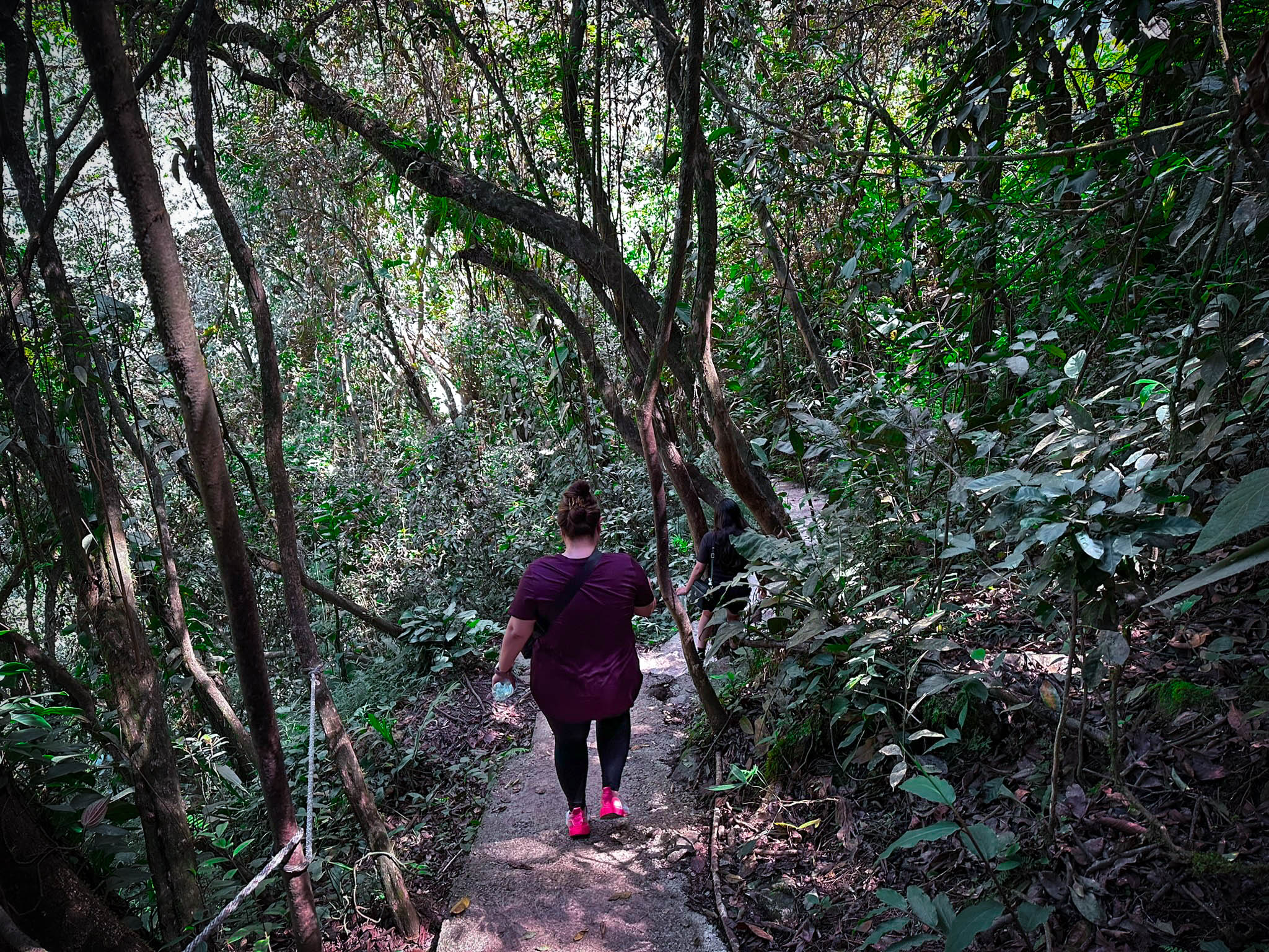 jungles-hike-Tour-Medellín-23 (1)