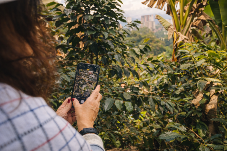 coffee-tour-medellin-colombia