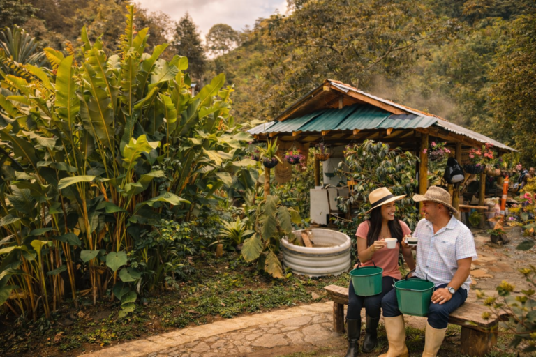 colombian-coffee-beans-harvest