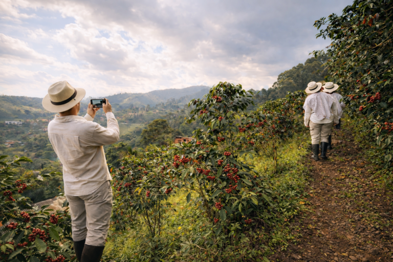 organic-coffee-farm-medellin