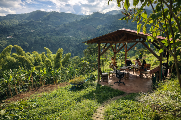 Finca de café en las montañas