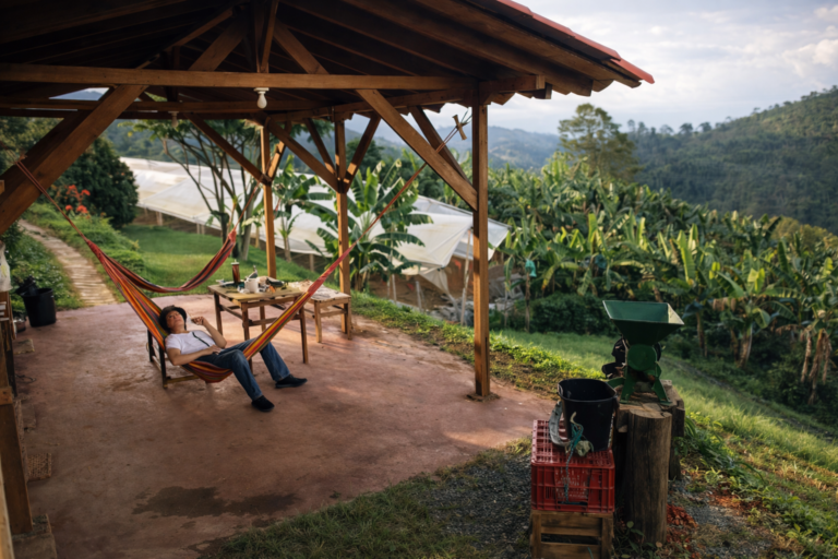 Relajación en el gazebo rural