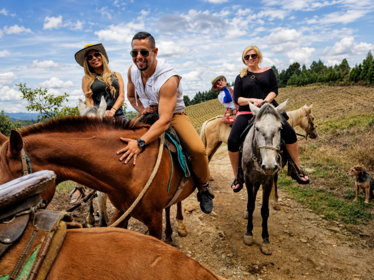 horseback-medellin-tour-nature-jungle