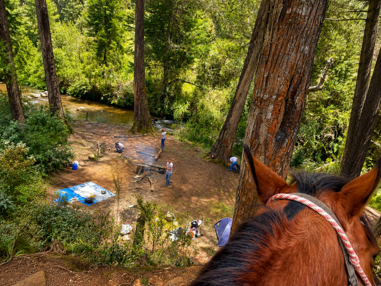 horseback-nature-medellin-mountains-tour