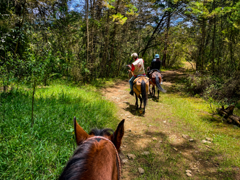 horseback-riding-medellin-mountains-countryside