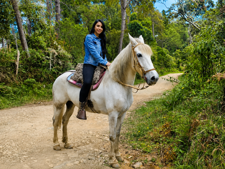 horseback-riding-tour-medellin-private