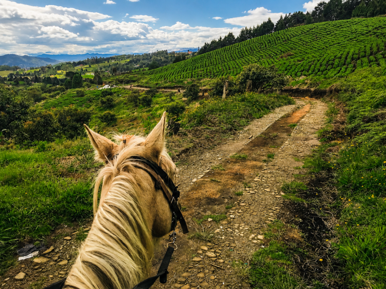 horsebackriding-medellin-tours-nature-countryside