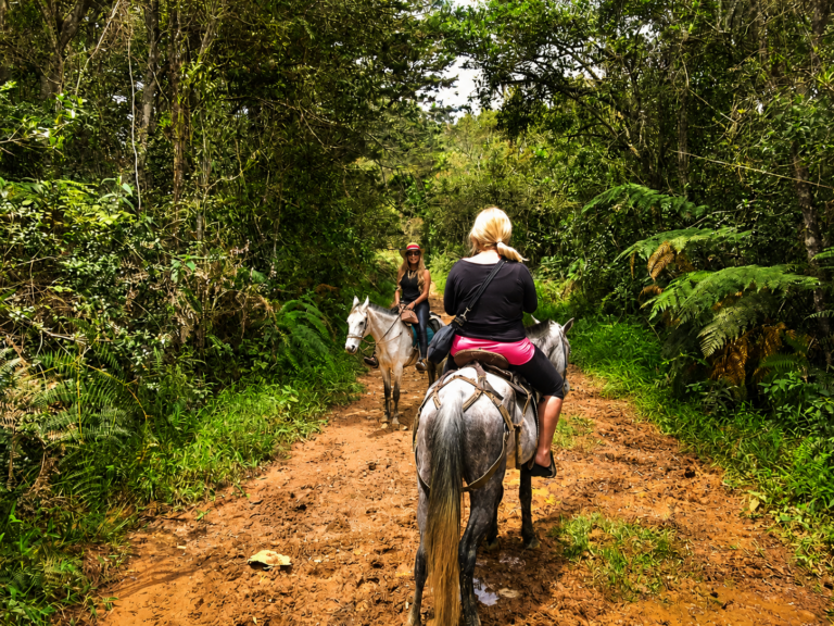 horses-medellin-tour-nature-jungles