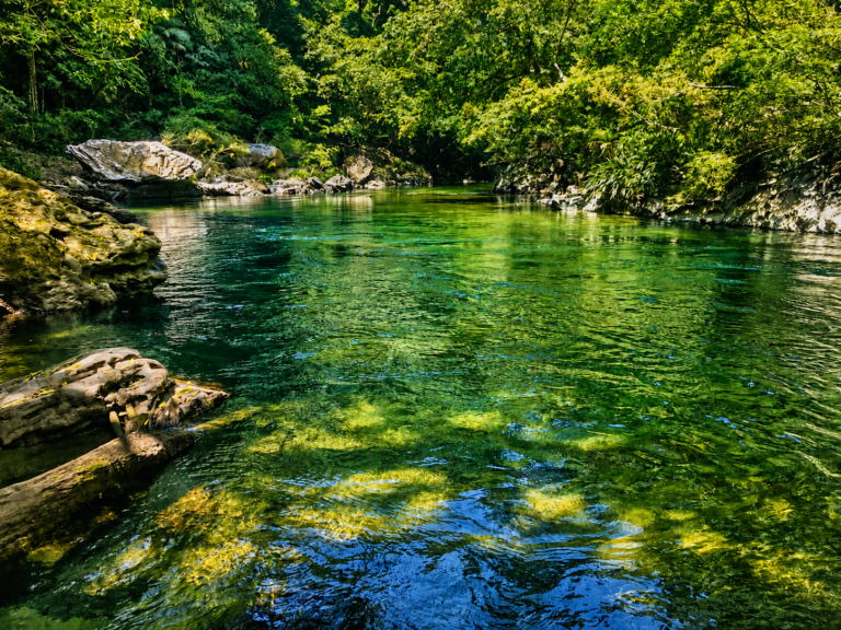 nature-river-medellin-tour-rafting-rioclaro
