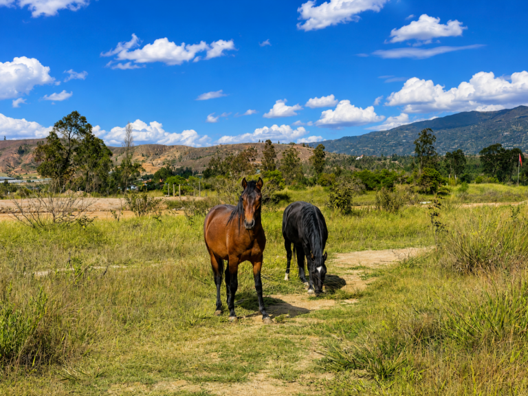 private-tour-santaelena-medellin-nature