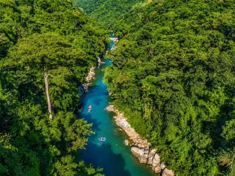 rioclaro-reserve-nature-jungles-tours