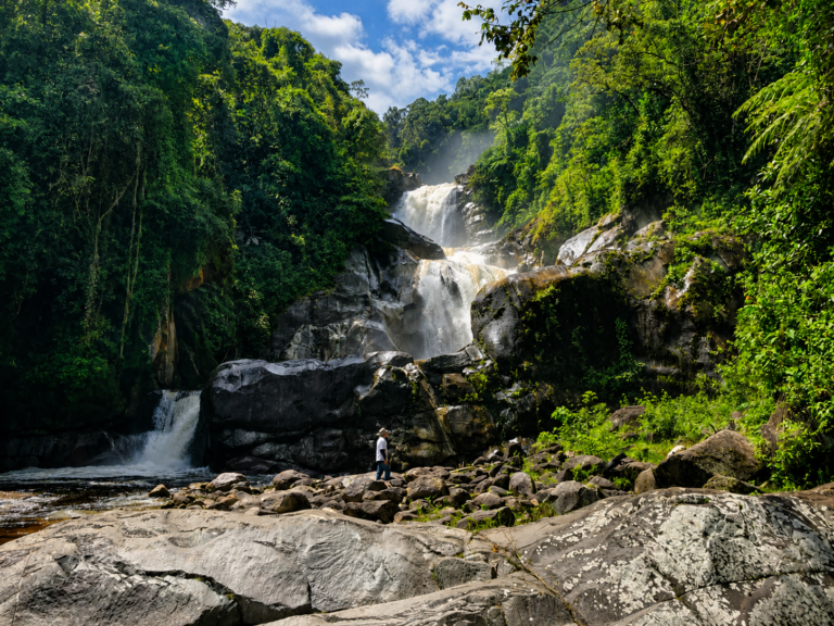 taparto-falls-medellin-nature-forest
