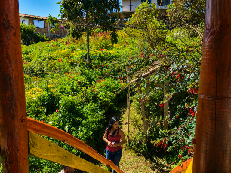 flower-farm-medellin-tour-nature