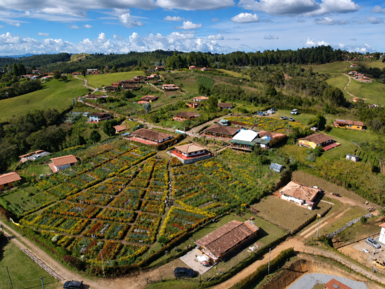 flower-farm-medellin-tour-private