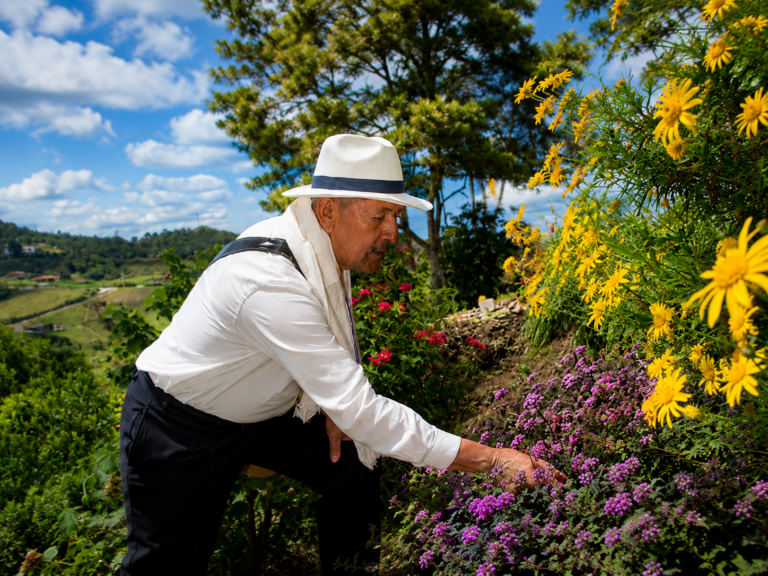 flower-festival-medellin-tours