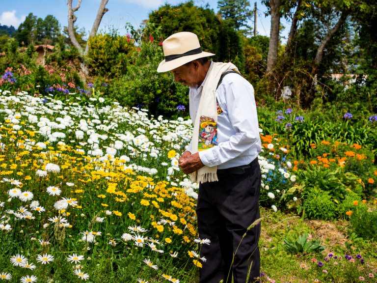 flower-tour-medellin-countryside
